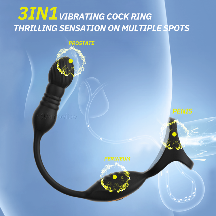 Fernbedienbarer Prostatamassager mit 10 Vibrationsfunktionen